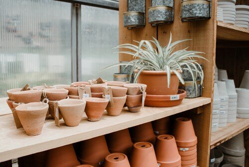 Elevate Your Green Space: Shop Indoor Pots Online